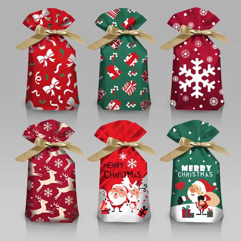 Custom Biodegradable Fancy Paper Gift Bags Christmas Shopping Packaging Paper Bag